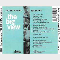 Peter Vuust Quartet - The Big View (1998)