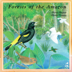 Pierre Huguet &amp; Olivier Tostain - Forests Of The Amazon (1990)