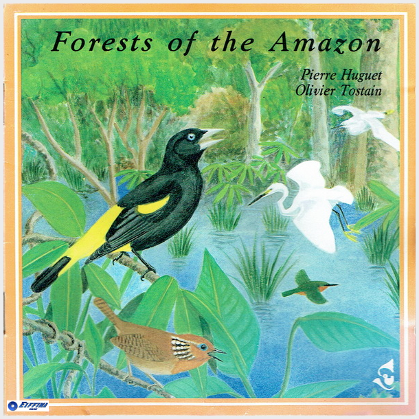 Pierre Huguet &amp; Olivier Tostain - Forests Of The Amazon (1990)