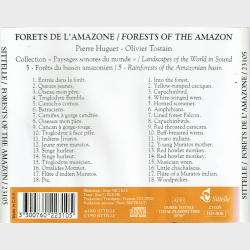 Pierre Huguet &amp; Olivier Tostain - Forests Of The Amazon (1990)