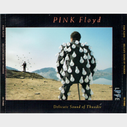 Pink Floyd - A Delicate Sound Of Thunder (Live) (EMI) (1988) (Fat)