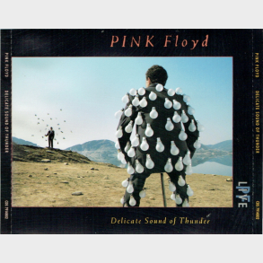 Pink Floyd - A Delicate Sound Of Thunder (Live) (EMI) (1988) (Fat)