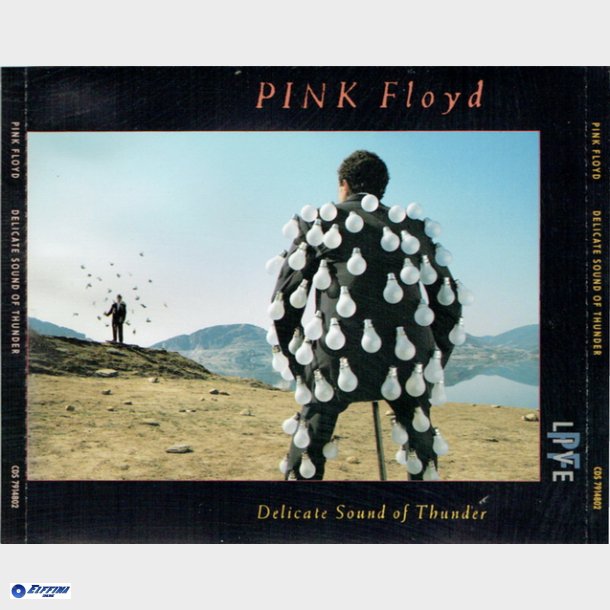 Pink Floyd - A Delicate Sound Of Thunder (Live) (EMI) (1988) (Fat)