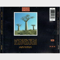 Pink Floyd - A Delicate Sound Of Thunder (Live) (EMI) (1988) (Fat)