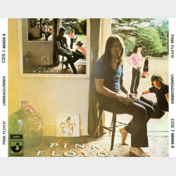 Pink Floyd - Ummagumma (1986) (UK) (Fat) - NM