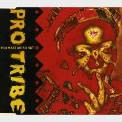 Pro Tribe - You Make Me So Hot (1996)
