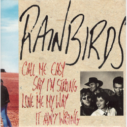 Rainbirds - Call Me Easy Say I'm Strong Love Me My Way It Ain't Wrong (1989)