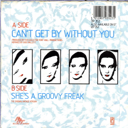 Real Thing, the - Can't Get By Without You (The Second Decade Remix) (1976)