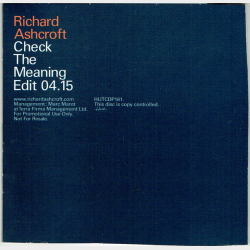 Richard Ashcroft - Check The Meaning (2002) (Promo)