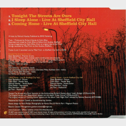 Richard Hawley - Tonight The Streets Are Ours (2007)