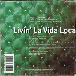Ricky Martin - Livin' La Vida Loca (1999)