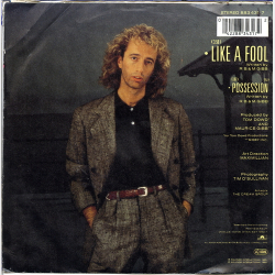 Robin Gibb - Like A Fool