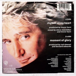Rod Stewart - Rhythm Of My Heart (1991)