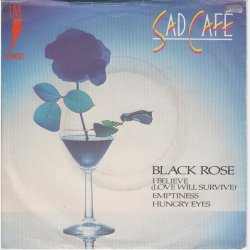 Sad Caf&eacute; - Live In Concert (1981)