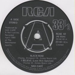 Sad Caf&eacute; - Live In Concert (1981)