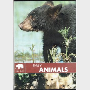 Safari - Baby Animals