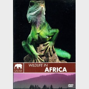 Safari - Wildlife in Africa