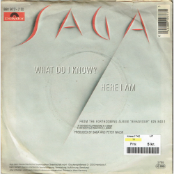 Saga - What Do I Know (The Shack Mix) (1985)
