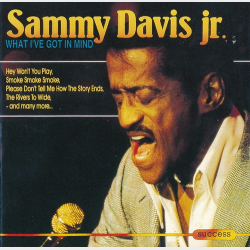 Sammy Davis Jr. - What I've Got In Mind (1993) (Success 2155CD)