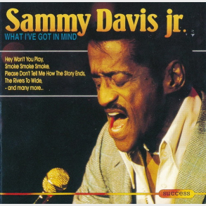Sammy Davis Jr. - What I've Got In Mind (1993) (Success 2155CD)