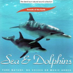 Sea &amp; Dolphins