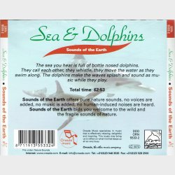 Sea &amp; Dolphins