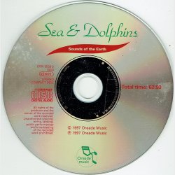 Sea &amp; Dolphins