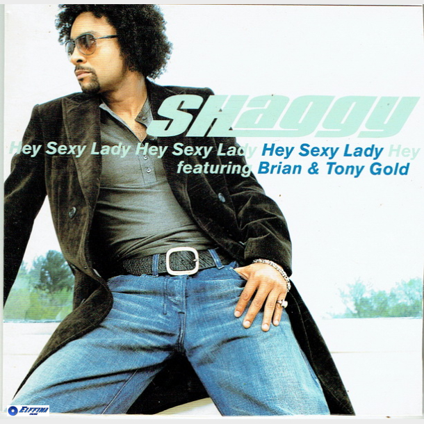 Shaggy ft. Brian &amp; Tony Gold - Hey Sexy Lady (2002) (Promo)