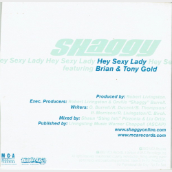 Shaggy ft. Brian &amp; Tony Gold - Hey Sexy Lady (2002) (Promo)
