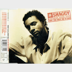 Shaggy ft. Grand Puba - Why You Treat Me So Bad (1996)