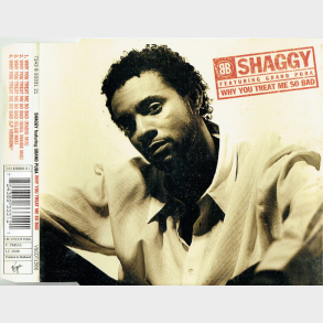 Shaggy ft. Grand Puba - Why You Treat Me So Bad (1996)