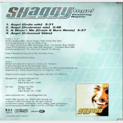 Shaggy ft. Rayvon - Angel (2001)