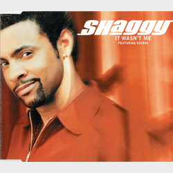 Shaggy ft. Rik Rok - It Wasn't Me (2001)