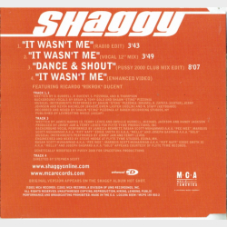Shaggy ft. Rik Rok - It Wasn't Me (2001)