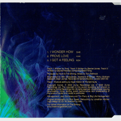 Shining, The - I Wonder How (2002)