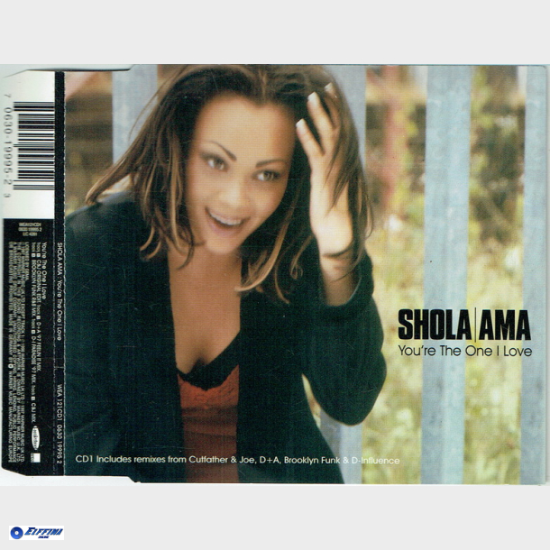 Shola Ama - You're The One I Love (1996)