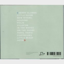 Shout Wellington Air Force - Clean Sunset (2010)