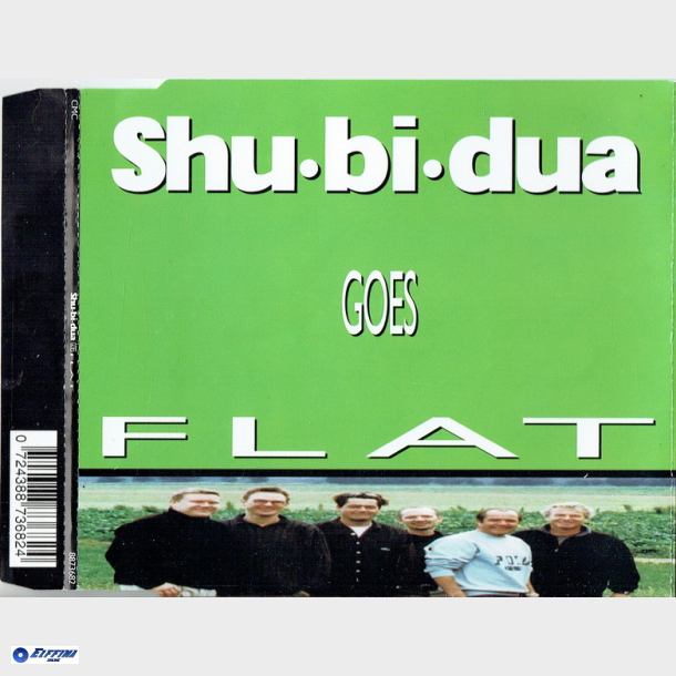 Shu-bi-dua - Shu-Bi-Dua Goes Flat (1999)