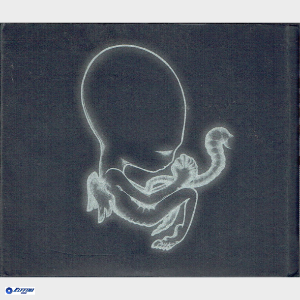Sigur Ros - Ag�tis Byrjun (2000) (Digi)