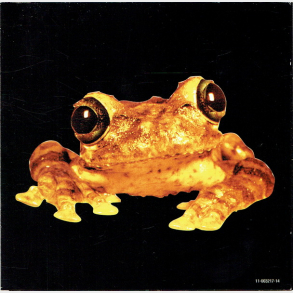 Silverchair - Live (1996) (Promo)