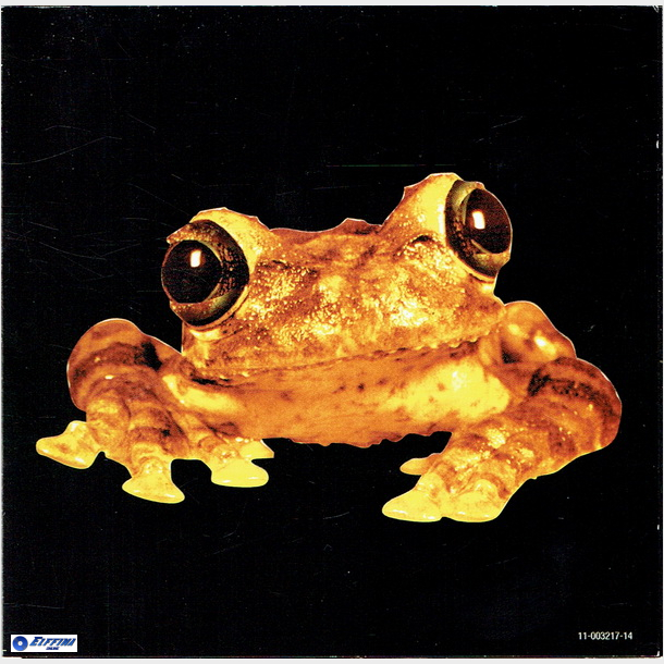 Silverchair - Live (1996) (Promo)