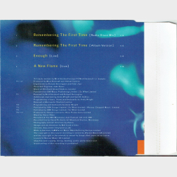 Simply Red - Remembering The First Time (1995)