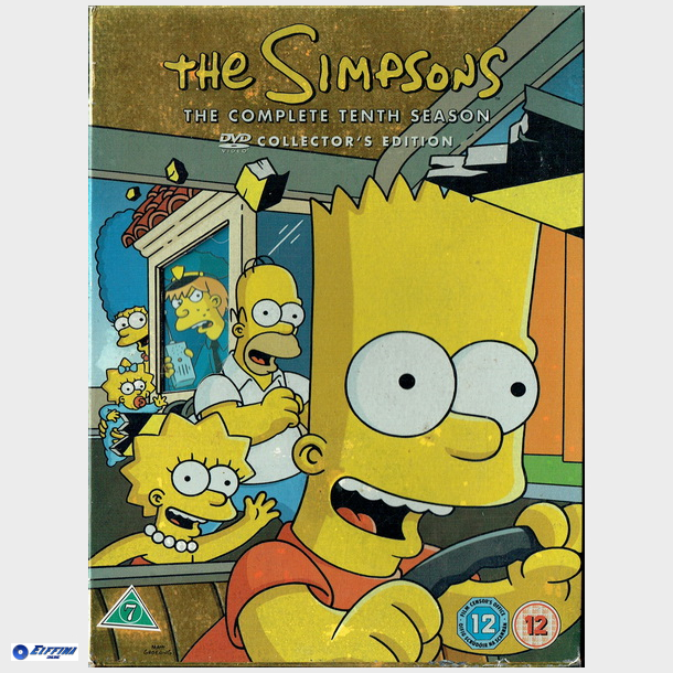 Simpsons - The Complete 10 Tenth Season (CE)