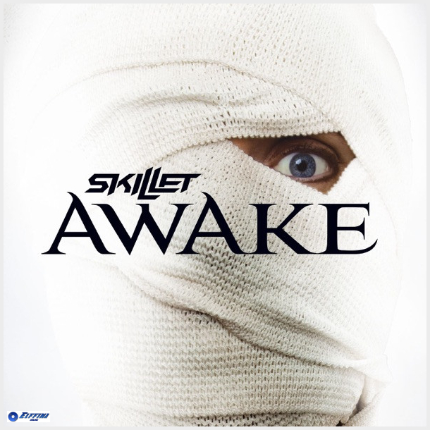 Skillet - Awake (2009)