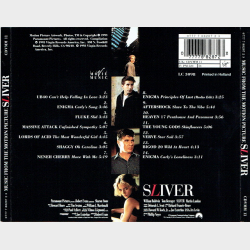 Sliver (1993)