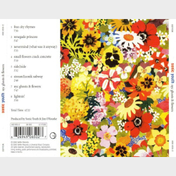 Sonic Youth - NYC Ghosts &amp; Flowers (2000)