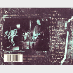 Soul Asylum - Let Your Dim Light Shine (1995)