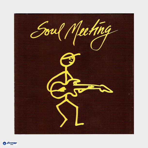 Soul Meeting - Brun