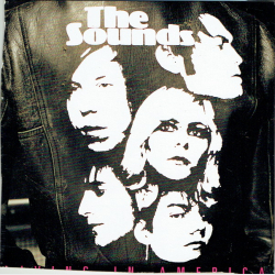 Sounds, The - Living In America (2002)