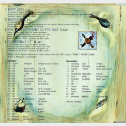 Spin Doctors - Mary Jane (1994)